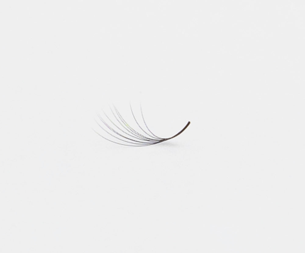 Collection PROmade — Plushee
