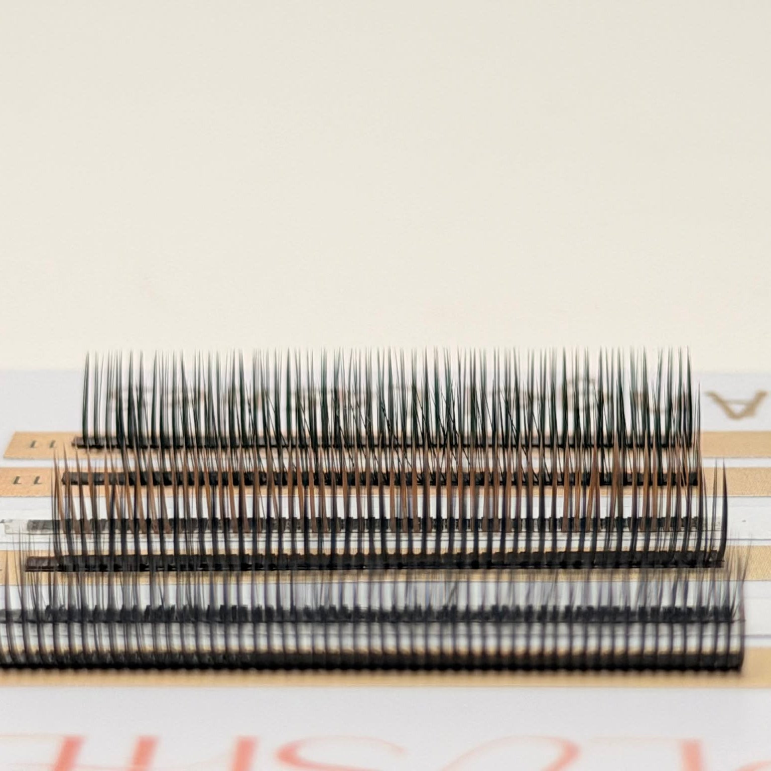 NEW Angel Lashes | Boîtiers Longueurs mixtes