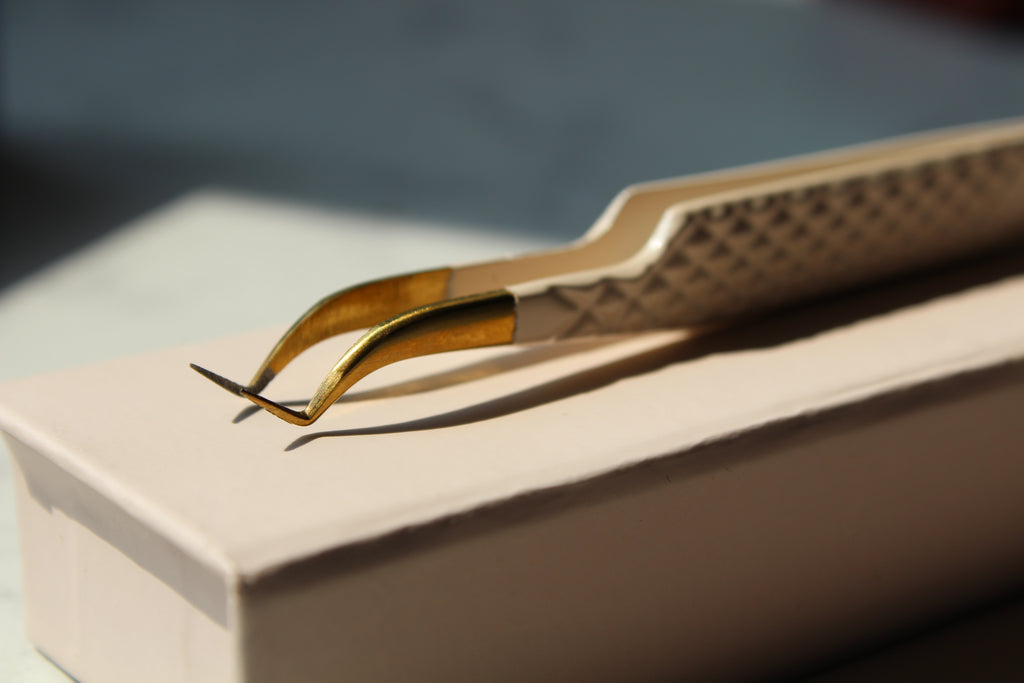 LURE – Captivante et magnétique, impossible à lâcher