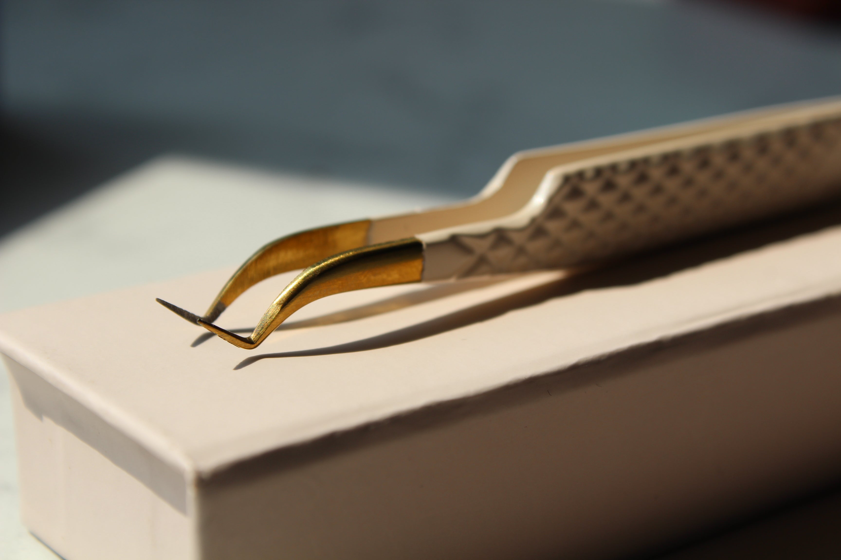 LURE – Captivante et magnétique, impossible à lâcher