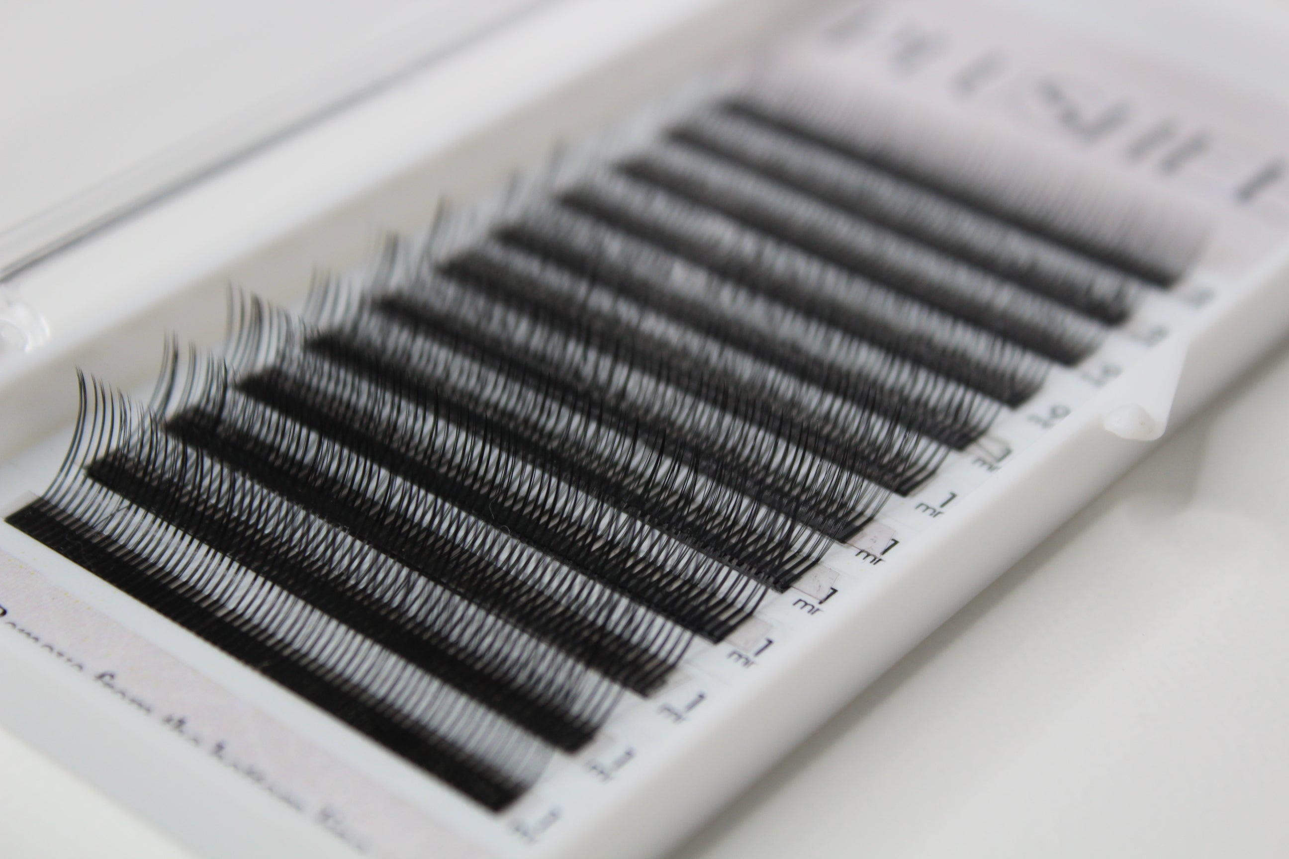 Angel Lashes - Courbe LD