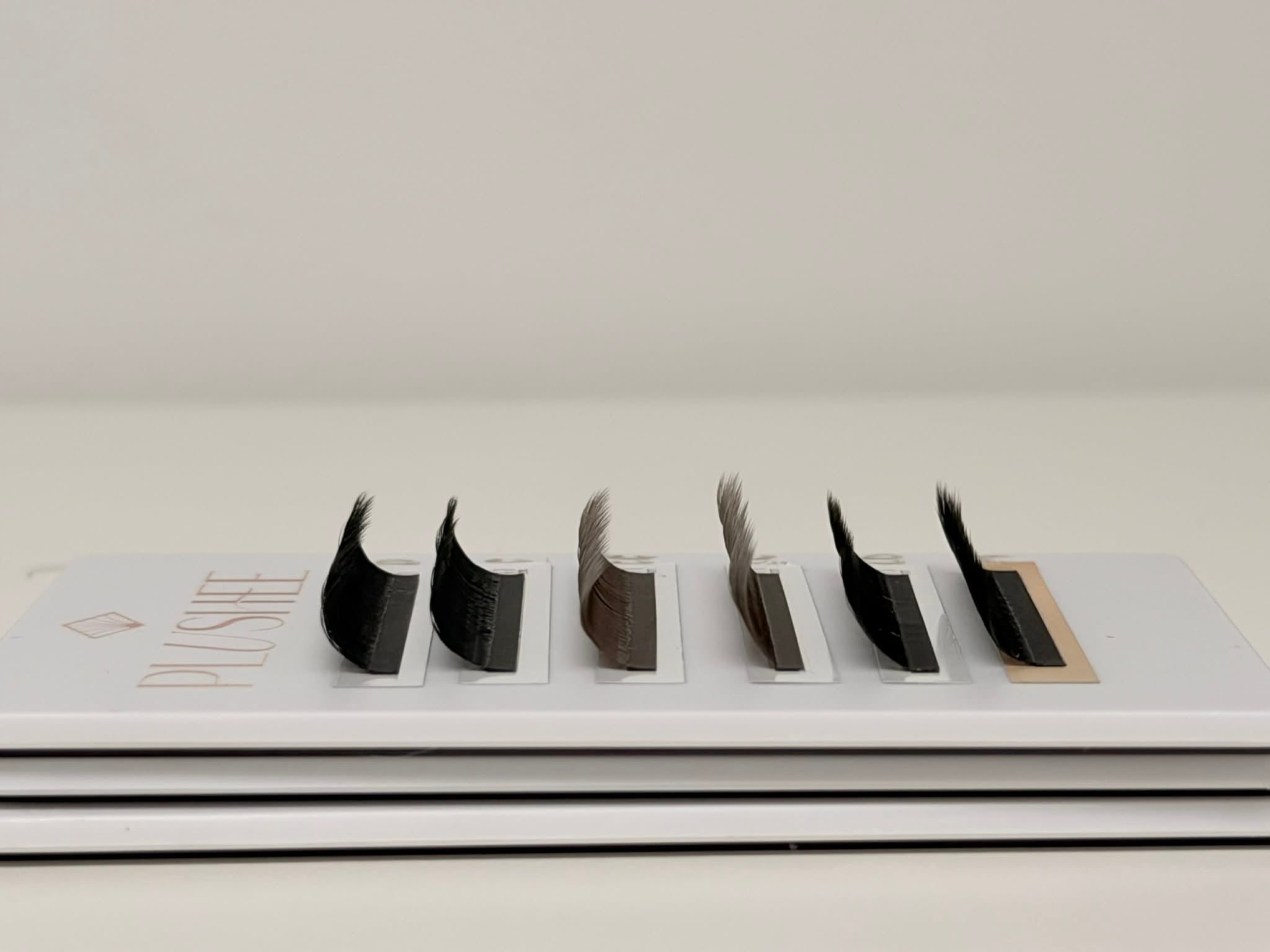 NEW 5D W  | Boîtiers Longueurs mixtes